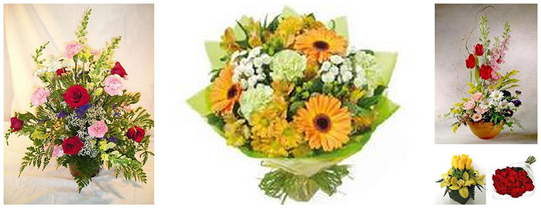 Best Flower Delivery Shanghai China | Fresh Flowers Shanghai