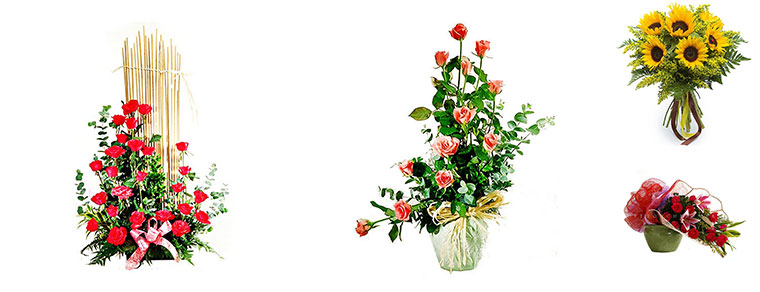 Best Flower Delivery Quezon City | TLC Flowers