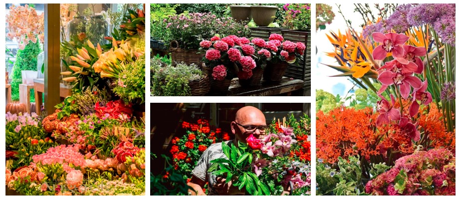 Best Flower Delivery in Amsterdam - Anggrek