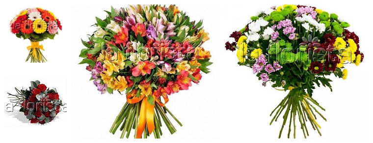 Best Flower Delivery Prague | La Florista