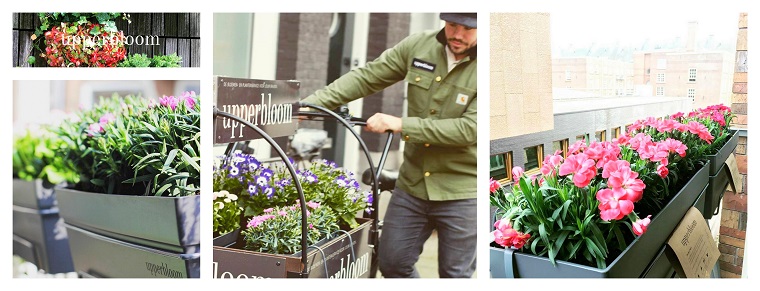 Best Flower Delivery Amsterdam | Upperbloom