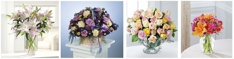 Best Flower Delivery Tampa | 56th Street Florist