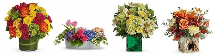 Best Flower Delivery Tampa | A Special Rose Florist