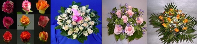 Best Flower Delivery Vienna | Blumen Claudia