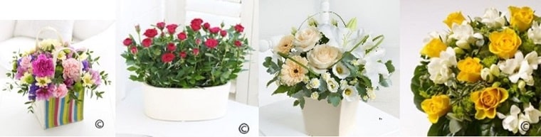 Best Flower Delivery Bristol | Flowers Galore