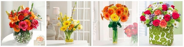Best Flower Delivery Tampa | New Tampa Florist