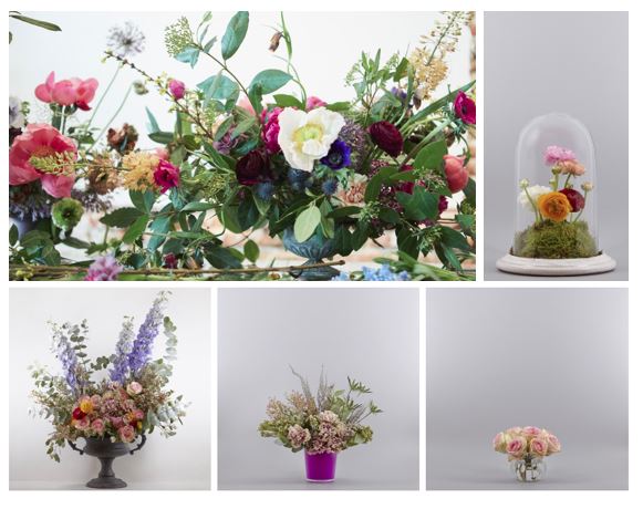 Best Florist in Madrid - Brumalis