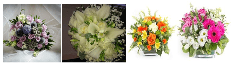 STEMS OF BURNSIDE - Same Day Flower Delivery in Glasgow