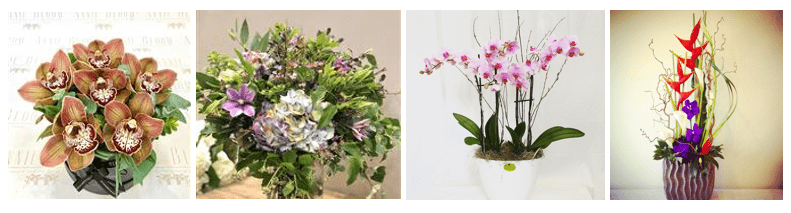 ANNIE BLOOM FLORIST - Same Day Flower Delivery in Dublin